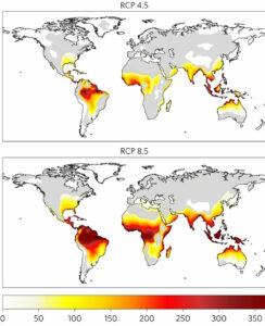 Projeções de dias de calor mortal (o vermelho indica maior frequência no ano) nos cenários de emissões moderadas (no alto) e altas (acima). Fonte: 