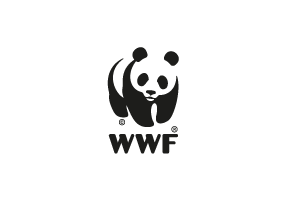 World Wild Fund