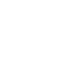 Conectas