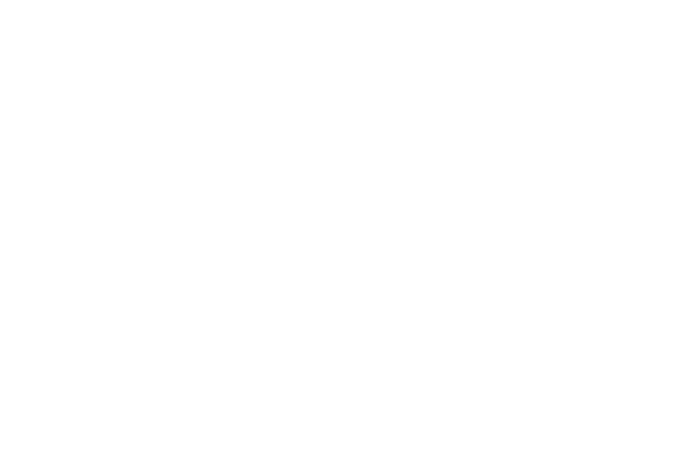 SOS Amazônia